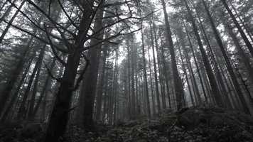 Free download XBOX | BRIGHT FALLS video and edit with RedcoolMedia movie maker MovieStudio video editor online and AudioStudio audio editor onlin