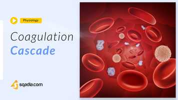 Free download Coagulation Cascade | Physiology Animation Video | Medical Student | V-Learning video and edit with RedcoolMedia movie maker MovieStudio video editor online and AudioStudio audio editor onlin