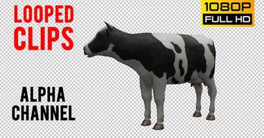 Free download Cow Looped | Motion Graphics - Envato elements video and edit with RedcoolMedia movie maker MovieStudio video editor online and AudioStudio audio editor onlin