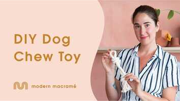 Free download DIY Dog Chew Toy Tutorial video and edit with RedcoolMedia movie maker MovieStudio video editor online and AudioStudio audio editor onlin