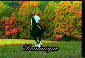 Free download Dominique navicular syndrome video and edit with RedcoolMedia movie maker MovieStudio video editor online and AudioStudio audio editor onlin