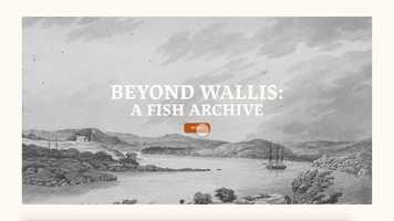 Free download Emily Nunell - Beyond Wallis: A Fish Archive video and edit with RedcoolMedia movie maker MovieStudio video editor online and AudioStudio audio editor onlin