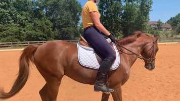 Free download Finn Dressage Clip video and edit with RedcoolMedia movie maker MovieStudio video editor online and AudioStudio audio editor onlin