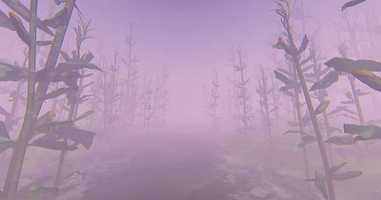 Free download Fog And Forest | Motion Graphics - Envato elements video and edit with RedcoolMedia movie maker MovieStudio video editor online and AudioStudio audio editor onlin