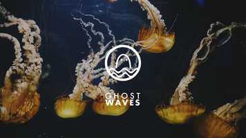 Free download GHOST WAVES - FLOW video and edit with RedcoolMedia movie maker MovieStudio video editor online and AudioStudio audio editor onlin