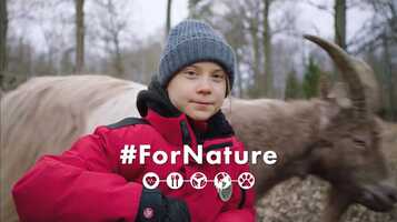 Free download Greta Thunbergs Message #ForNature video and edit with RedcoolMedia movie maker MovieStudio video editor online and AudioStudio audio editor onlin