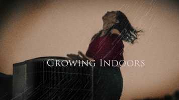 Free download Growing Indoors video and edit with RedcoolMedia movie maker MovieStudio video editor online and AudioStudio audio editor onlin