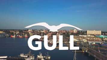 Free download Gull video and edit with RedcoolMedia movie maker MovieStudio video editor online and AudioStudio audio editor onlin