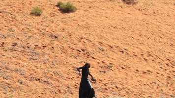 Free download XHOES CONQUERS TEASER video and edit with RedcoolMedia movie maker MovieStudio video editor online and AudioStudio audio editor onlin