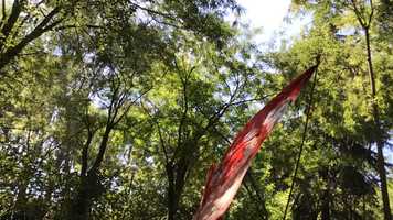 Free download Ximena Wings experiment video and edit with RedcoolMedia movie maker MovieStudio video editor online and AudioStudio audio editor onlin