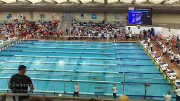 Free download Xincong Li Shad 2020 Application video and edit with RedcoolMedia movie maker MovieStudio video editor online and AudioStudio audio editor onlin