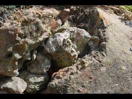 Free download X-Men Evolution Stop-Motion Animation video and edit with RedcoolMedia movie maker MovieStudio video editor online and AudioStudio audio editor onlin