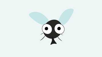 Free download Mouche video and edit with RedcoolMedia movie maker MovieStudio video editor online and AudioStudio audio editor onlin