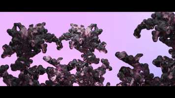 Free download X-Particles Growth Animation video and edit with RedcoolMedia movie maker MovieStudio video editor online and AudioStudio audio editor onlin