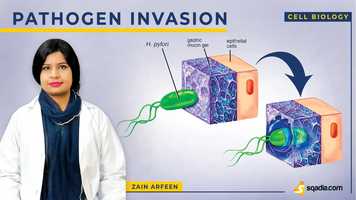 Free download Pathogen Invasion | Viral | Cell Biology Lectures | Medical Student | V-Learning video and edit with RedcoolMedia movie maker MovieStudio video editor online and AudioStudio audio editor onlin