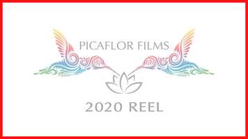 Free download PICAFLOR FILMS - 2020 REEL video and edit with RedcoolMedia movie maker MovieStudio video editor online and AudioStudio audio editor onlin