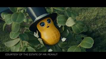 Free download Planters Baby Nut Live BTS video and edit with RedcoolMedia movie maker MovieStudio video editor online and AudioStudio audio editor onlin