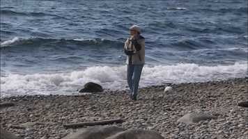 Free download Sea of Love video and edit with RedcoolMedia movie maker MovieStudio video editor online and AudioStudio audio editor onlin