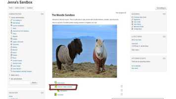 Free download Teaching and Learning Technology - Echo360 Lecture Tools results tutorial video and edit with RedcoolMedia movie maker MovieStudio video editor online and AudioStudio audio editor onlin