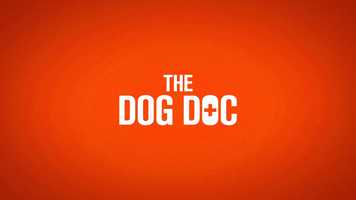 Free download THE DOG DOC  Trailer  English video and edit with RedcoolMedia movie maker MovieStudio video editor online and AudioStudio audio editor onlin