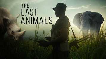 Free download The Last Animals | Trailer video and edit with RedcoolMedia movie maker MovieStudio video editor online and AudioStudio audio editor onlin