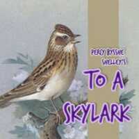 Free download To A Skylark audio book and edit with RedcoolMedia movie maker MovieStudio video editor online and AudioStudio audio editor onlin