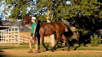 Free download Xtravagant x Its Fun - Filly video and edit with RedcoolMedia movie maker MovieStudio video editor online and AudioStudio audio editor onlin