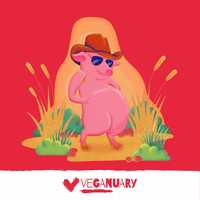 Free download Vegan Pig video and edit with RedcoolMedia movie maker MovieStudio video editor online and AudioStudio audio editor onlin