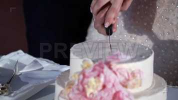 Free download Wedding Celebration Cake Stock Video video and edit with RedcoolMedia movie maker MovieStudio video editor online and AudioStudio audio editor onlin