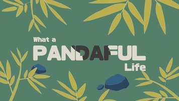 Free download What a PANDAFUL life! video and edit with RedcoolMedia movie maker MovieStudio video editor online and AudioStudio audio editor onlin