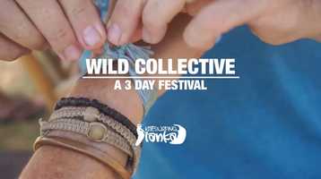 Free download Wild Collective  - A 3 day festival in Kalpitiya video and edit with RedcoolMedia movie maker MovieStudio video editor online and AudioStudio audio editor onlin