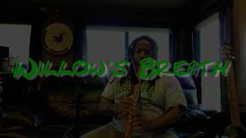 Free download Willows Breath video and edit with RedcoolMedia movie maker MovieStudio video editor online and AudioStudio audio editor onlin