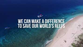 Free download World Reef Day 2019 video and edit with RedcoolMedia movie maker MovieStudio video editor online and AudioStudio audio editor onlin