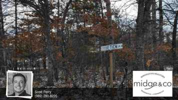 Free download Xxx Bluetick Lane St Helen, MI 48656 video and edit with RedcoolMedia movie maker MovieStudio video editor online and AudioStudio audio editor onlin