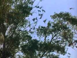 Free download y2matecom - Napoleon - Trailer_AkqLeBEOWTo_360p video and edit with RedcoolMedia movie maker MovieStudio video editor online and AudioStudio audio editor onlin