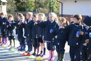 Free download Year 2 film 2020 video and edit with RedcoolMedia movie maker MovieStudio video editor online and AudioStudio audio editor onlin