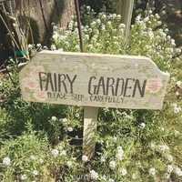 Free download yeoone  fairy  video and edit with RedcoolMedia movie maker MovieStudio video editor online and AudioStudio audio editor onlin