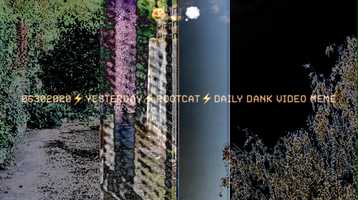 Free download ⚡️Yesterday⚡️06302020⚡️ ROOTCATs DAILY DANK VIDEO MEME⚡️ video and edit with RedcoolMedia movie maker MovieStudio video editor online and AudioStudio audio editor onlin