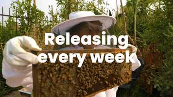 Free download Yonas_Trailer_2.mp4 video and edit with RedcoolMedia movie maker MovieStudio video editor online and AudioStudio audio editor onlin