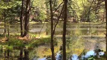 Free download You Created Me video and edit with RedcoolMedia movie maker MovieStudio video editor online and AudioStudio audio editor onlin