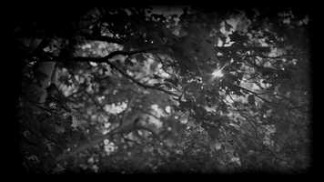 Free download You Didnt Tell Me - Directors Cut video and edit with RedcoolMedia movie maker MovieStudio video editor online and AudioStudio audio editor onlin