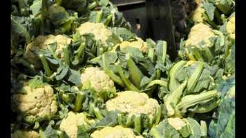 Free download Youssef A short Film By Haytham Khamis video and edit with RedcoolMedia movie maker MovieStudio video editor online and AudioStudio audio editor onlin