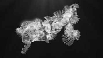 Free download Zaharon Katon video and edit with RedcoolMedia movie maker MovieStudio video editor online and AudioStudio audio editor onlin