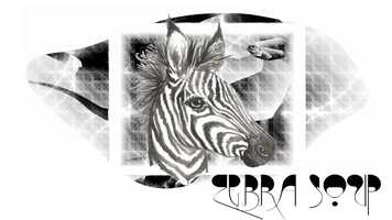 Free download Zebra Soup.mp4 video and edit with RedcoolMedia movie maker MovieStudio video editor online and AudioStudio audio editor onlin