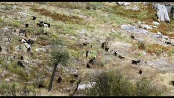 Free download Zhizi Hao: Sound Recordist Showreel (2020) video and edit with RedcoolMedia movie maker MovieStudio video editor online and AudioStudio audio editor onlin