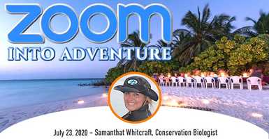 Free download ZOOM Into Adventure Ep. 16 Green The Fleet video and edit with RedcoolMedia movie maker MovieStudio video editor online and AudioStudio audio editor onlin