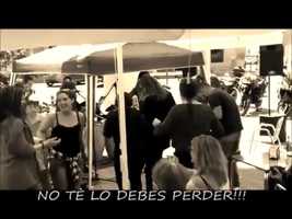 Free download Zree Music video and edit with RedcoolMedia movie maker MovieStudio video editor online and AudioStudio audio editor onlin