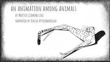 Free download *ROUGH* An animation among animals by Matteo Ciompallini video and edit with RedcoolMedia movie maker MovieStudio video editor online and AudioStudio audio editor onlin