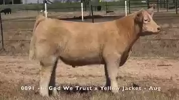 Free download 0091 - In God We Trust x Yellow Jacket - Aug video and edit with RedcoolMedia movie maker MovieStudio video editor online and AudioStudio audio editor onlin