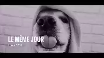 Free download 0:37 | THE SAME DAY OCTOBER 21 2020 | ROOTCAT DAILY DANK VIDEO MEME 2022 video and edit with RedcoolMedia movie maker MovieStudio video editor online and AudioStudio audio editor onlin